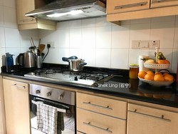 Jervois Regency (D10), Apartment #201716032